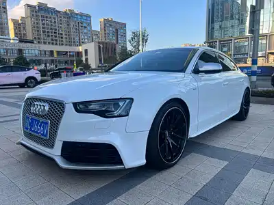 Audi S5 2013