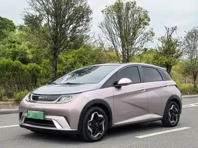 BYD Dolphin 2022