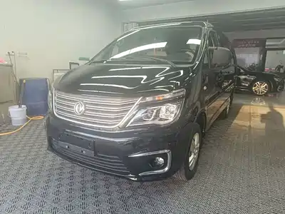 Dongfeng Fengxing Lingzhi 2019