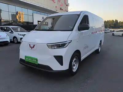 Wuling Motors Yangguang 2024