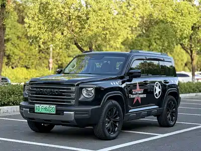 Haval Meng Long NEV 2024