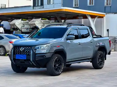 Dongfeng Rich 7 2024