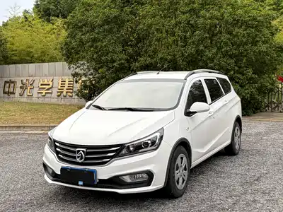 Baojun 310W 2019