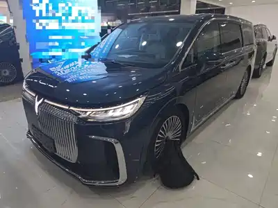 Voyah Auto Dreamer 2025