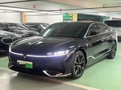 Voyah Auto Zhuiguang 2023