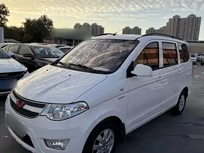 Wuling Motors Hongguang 2017