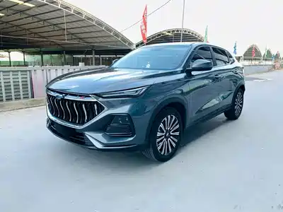 Changan Oshan Oushang X5 2022