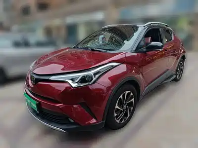 Toyota IZOA 2019