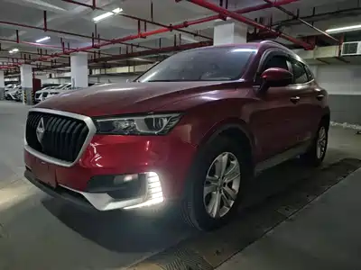 Borgward BX5 2017