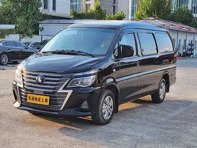 Dongfeng Fengxing Lingzhi 2024