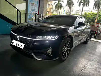 Voyah Auto Zhuiguang 2025