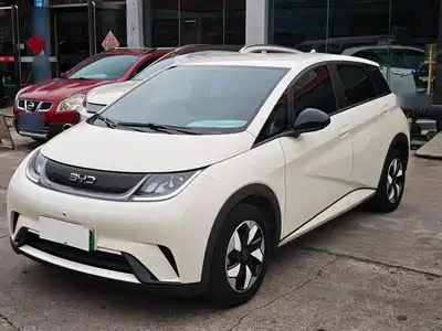 BYD Dolphin 2025