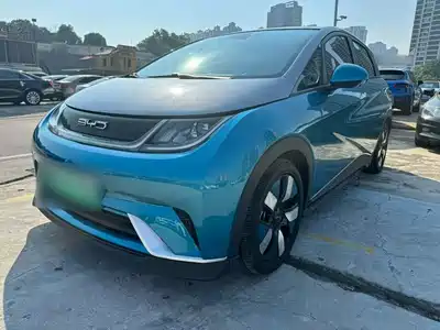 BYD Dolphin 2022