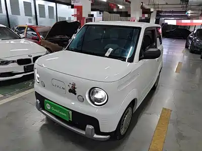 Ruilan Auto Blue Elf 2026