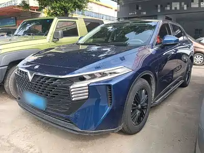 Venucia Big V 2022