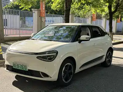 Dongfeng Yipai Nano 01 2024