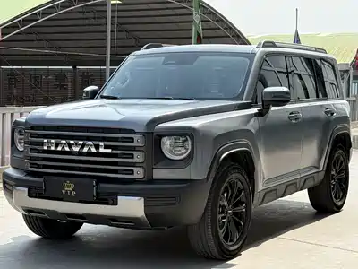 Haval Meng Long NEV 2025