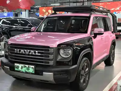 Haval Meng Long NEV 2023