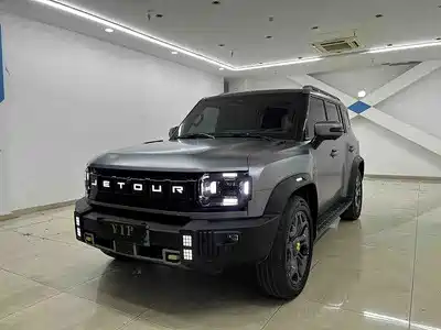 Jetour Shanhai T2 2024