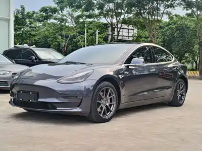 Tesla Model 3 (Import) 2019