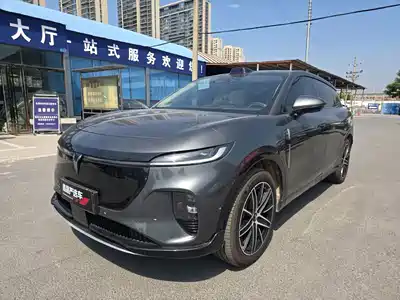 Voyah Auto Zhiyin 2025