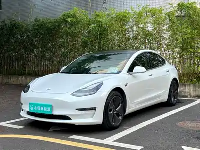 Tesla Model 3 (Import) 2020
