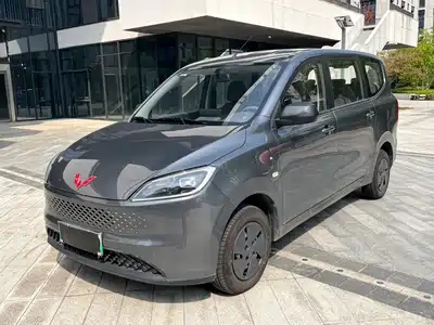 Wuling Motors Hongguang New Energy 2025