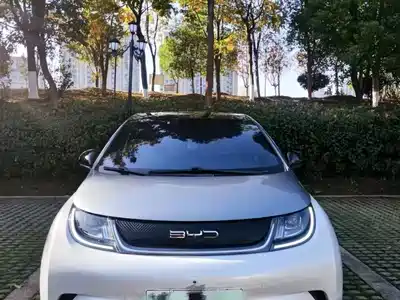 BYD Dolphin 2021