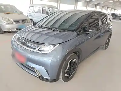 BYD Dolphin 2024