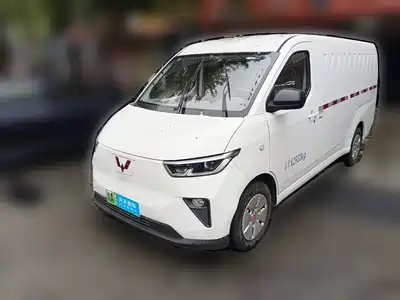 Wuling Motors Yangguang 2024
