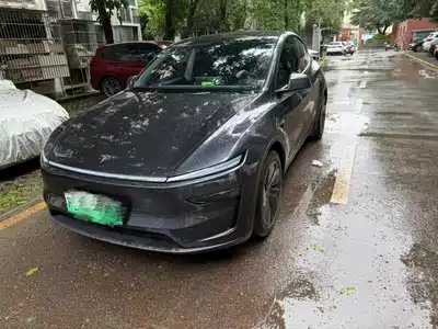 Tesla Model Y 2025