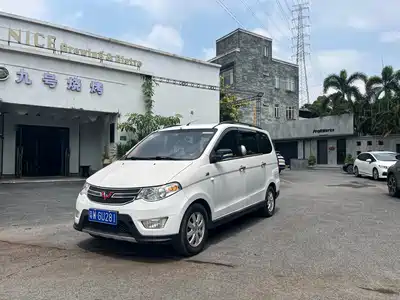 Wuling Motors Hongguang 2014