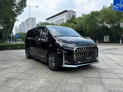 SAIC Maxus G20 2023