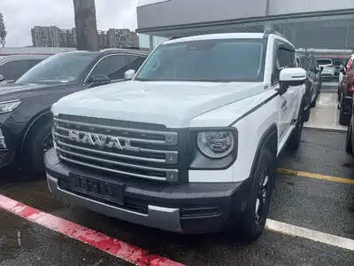 Haval Meng Long NEV 2024