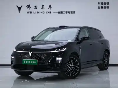 Voyah Auto Zhiyin 2025