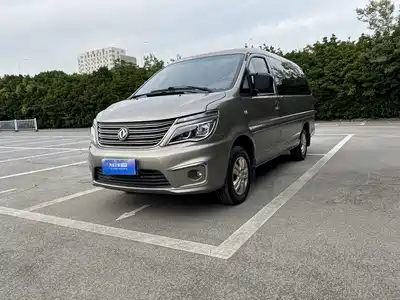 Dongfeng Fengxing Lingzhi 2019