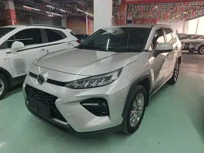 Toyota Wildlander 2020