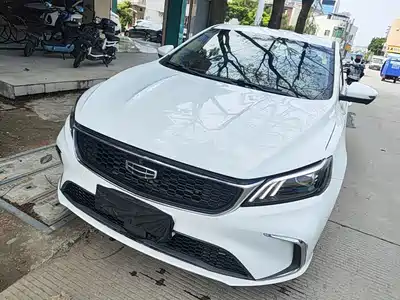 Geely Binrui 2022