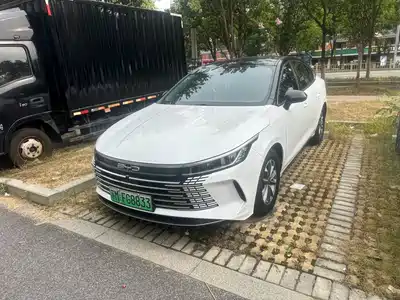 BYD Destroyer 05 2024