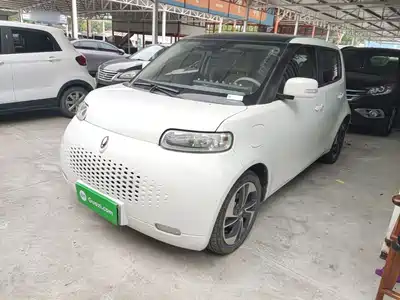 Ora White Cat 2021