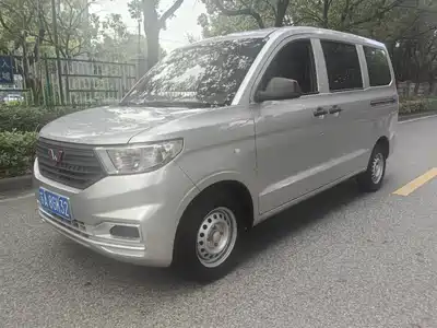 Wuling Motors Hongguang V 2020