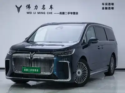 Voyah Auto Dreamer 2025