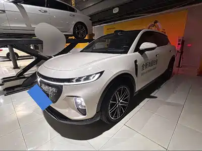 Voyah Auto Zhiyin 2025