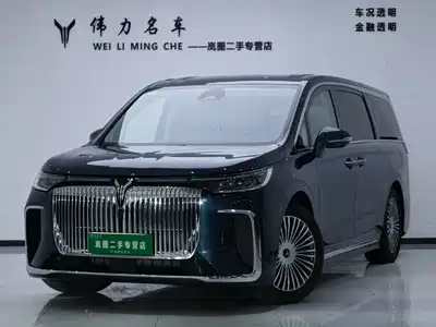 Voyah Auto Dreamer 2025