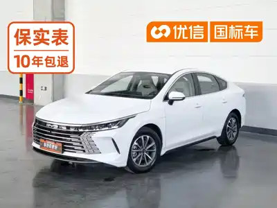 BYD Destroyer 05 2024