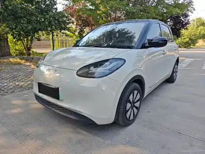 Wuling Motors Bingo 2024