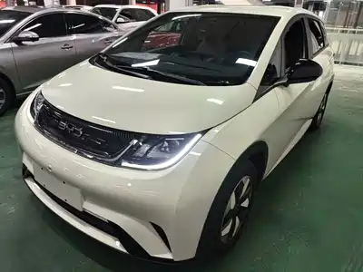 BYD Dolphin 2024