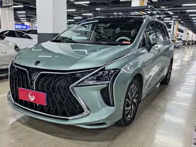 Dongfeng Fengxing Yacht 2023