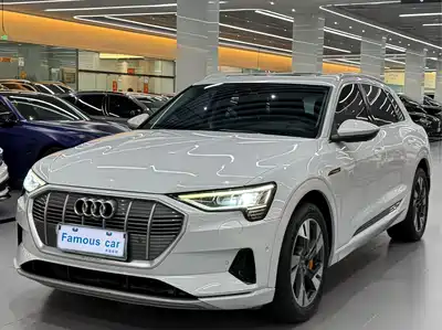 Audi e-tron (Import) 2021