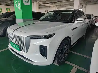 Hongqi E-HS9 2021